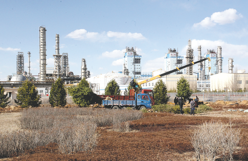 鲸鱼体育直播现场